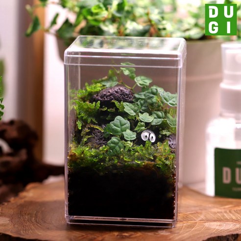 집 안에서 나만의 작은 자연을 만나는 마법 테라리움