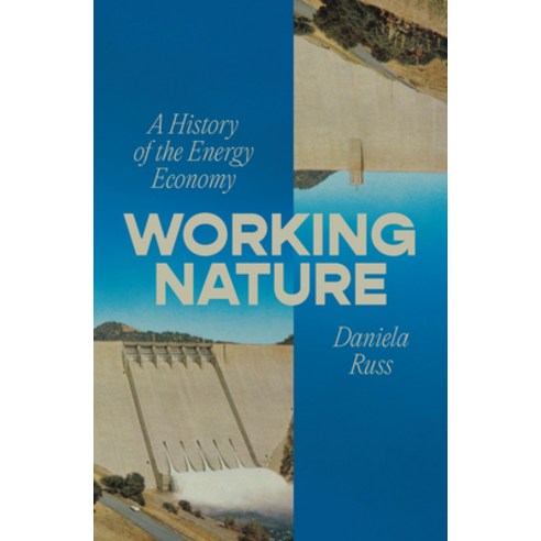 (영문도서)Working Nature: A History of the Energy Economy Paperback, Verso, English, 9781804298978