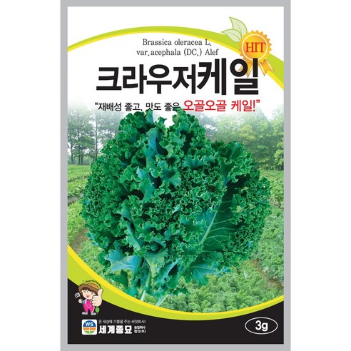 세계종묘 크라우저케일 씨앗 3g, 1개