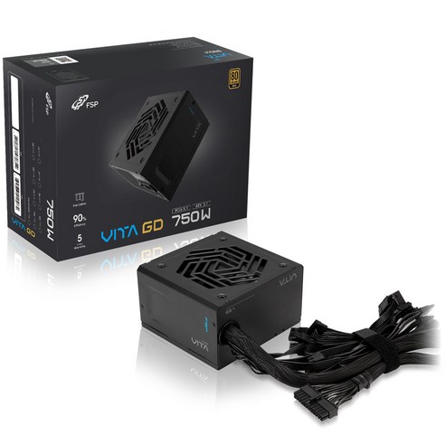 FSP VITA GD 80PLUS 골드 ATX3.1 (PCIe Gen5.1) 12V-2x6 컴퓨터 파워 PC 파워서플라이, 750W