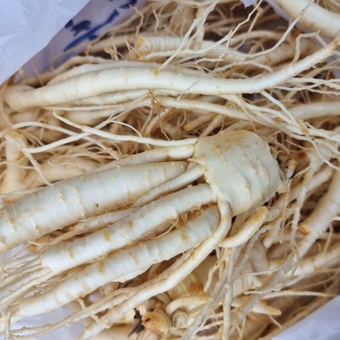 실속형 풍기인삼 6년근 무료세척 한보인삼사