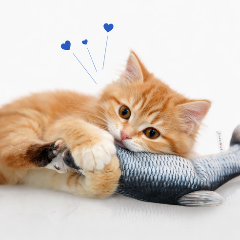 해밀펫 움직이는 고양이 강아지 장난감 솔직 후기 | 실제 사용자 리뷰 총정리 - 상품 이미지 3