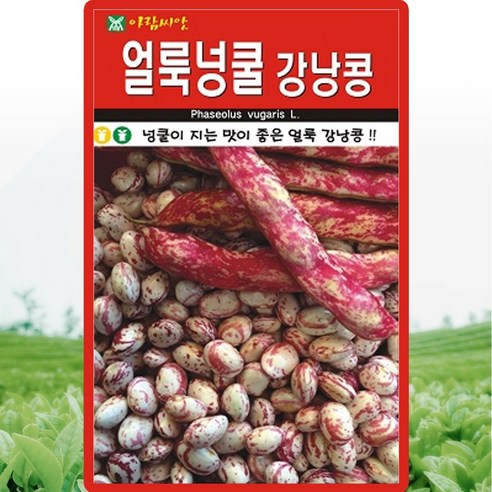 아람종묘 얼룩넝쿨 강낭콩 씨앗 30g 넝쿨 얼룩 강낭콩씨 종자, 1개