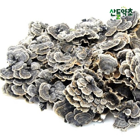 국내산 건조 말린 운지버섯 구름버섯 1kg 맛있게 먹은 솔직 후기 - 상품 이미지 2