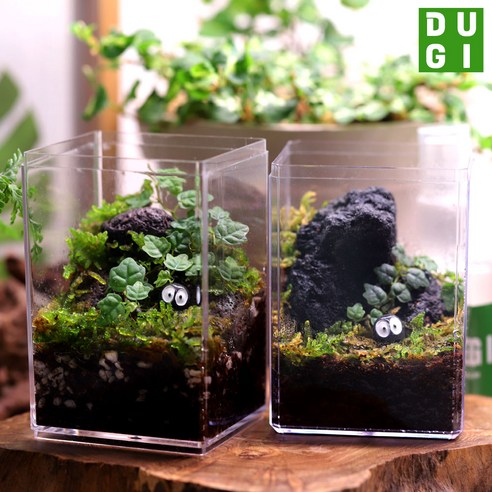 집 안에서 나만의 작은 자연을 만나는 마법