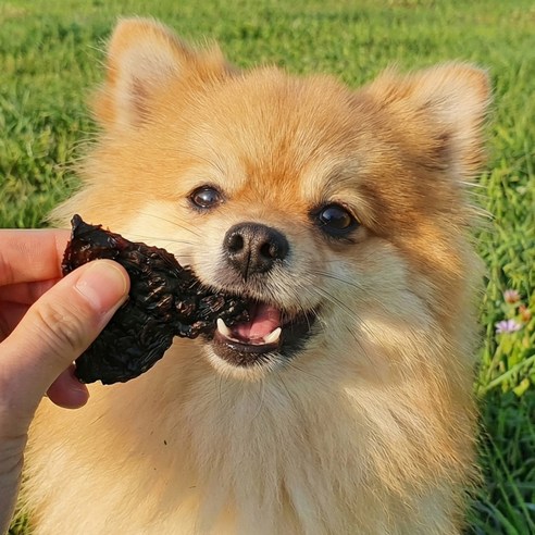 도그말리온 국내산 강아지 수제간식 대용량 6종 이미지 4