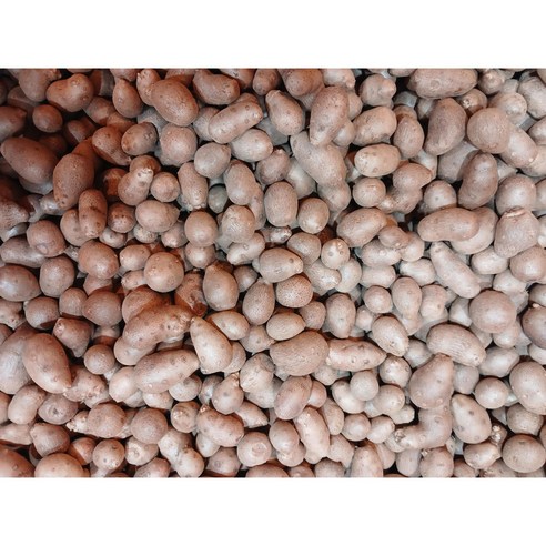 하루 한 스푼, 당신의 혈관에 선물하는 건강