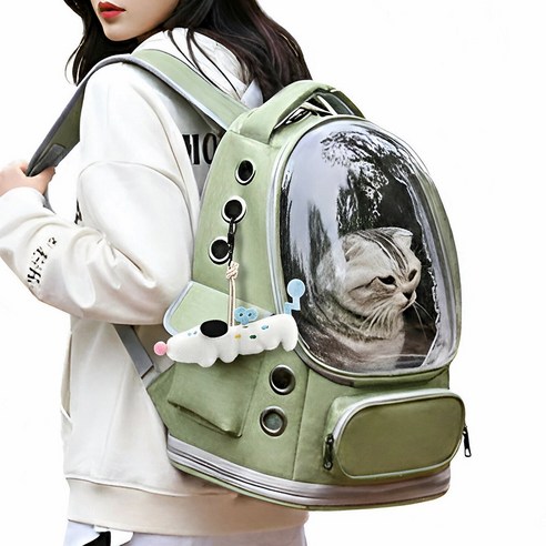 퍼피허그 Bubble 투명 우주선 강아지 백팩 산책가방 이동 가방 고양이 애견 기내용 컨넬 배낭, 1개, 라임 그린