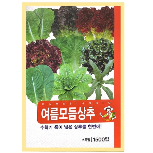 9종 여름모듬상추 씨앗, 1개