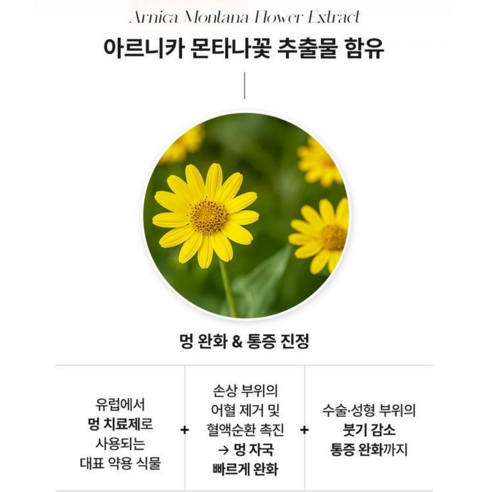 병원 약국 | 리누젠 아르니카 패스트 크림 | 쌍수 눈가 멍 지방흡입 붓기 | 유아 멍연고 | 멍 크림 | Bruise Cream | 말밤 마녀헤이즐 호박 추출물 이미지 3