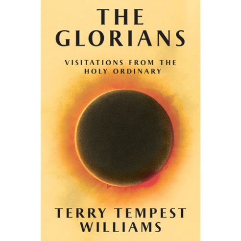 (영문도서)The Glorians: Visitations from the Holy Ordinary Hardcover, Grove Press, English, 9780802165848