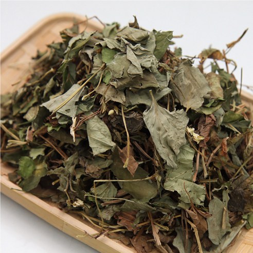 약초약선생 어성초건초 600g (200g 3봉지) 이미지 2