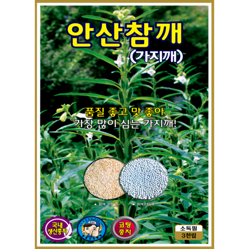 KS종묘 안산참깨 가지깨 씨앗 3000립 국내생산 코팅종자 ks, 1개