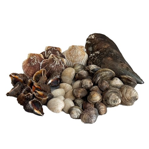 오늘 저녁, 뭘 해 먹어야 할지 고민이라면 조개구이 오늘 저녁, 뭘 해 먹어야 할지 고민이라면 조개구이