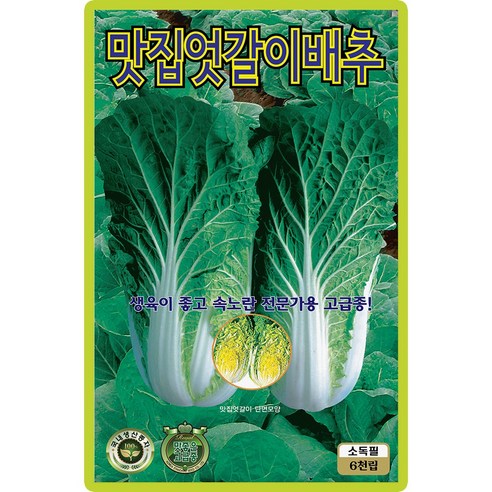 맛집엇갈이배추 씨앗 (6000립) 엇갈이배추 배추 얼갈이 종묘 종자 씨 영웅 KS, 1개