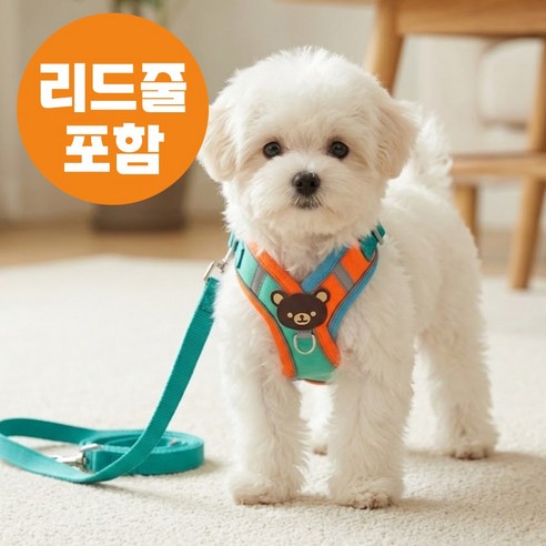튼튼하고 편한 곰돌이 하네스 견인줄 세트구성 파워버클, 1개, 민트오렌지