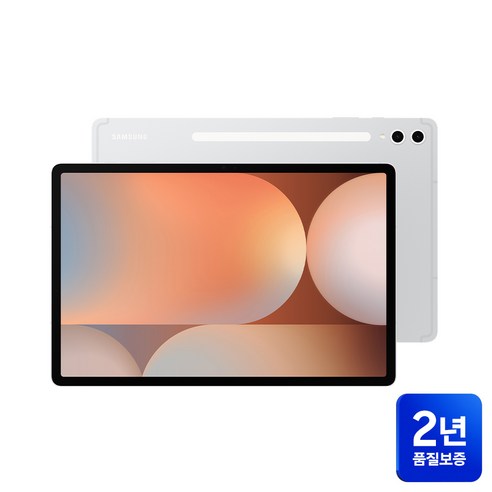 삼성전자 갤럭시탭 S10플러스 256/512GB, 플래티넘 실버, 256GB, Wi-Fi 전용