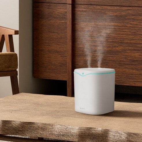가격 대비 뛰어난 성능과 감성적인 무드등이 돋보이는 듀얼 가습기