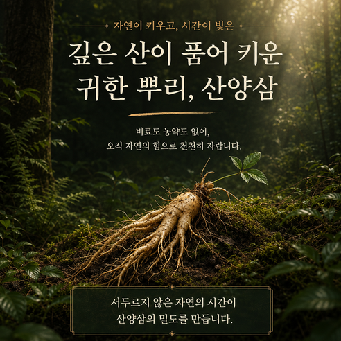 자연온정 산양삼 컷 진 정품 HACCP 인증 120정, 1개 이미지 4