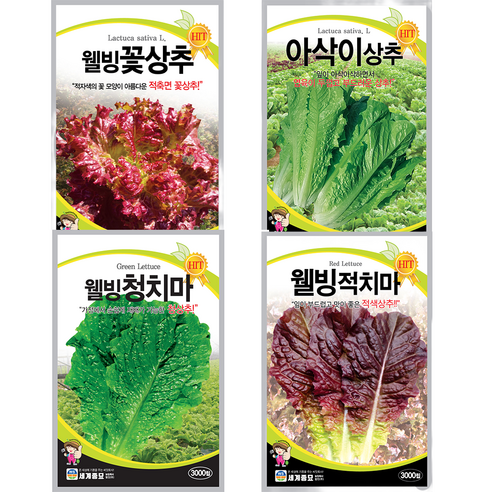 모칸도 추천 상추씨앗 모음 4종 세트 사계절 쌈채소 청치마 적치마 꽃상추 아삭이상추, 1개