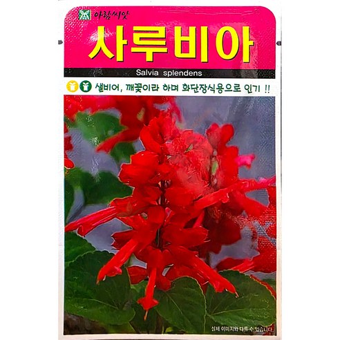 아람종묘 사루비아 꽃 씨앗 100p