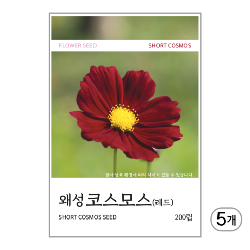 새싹바라기 왜성코스모스(레드) 씨앗 200립, 5개