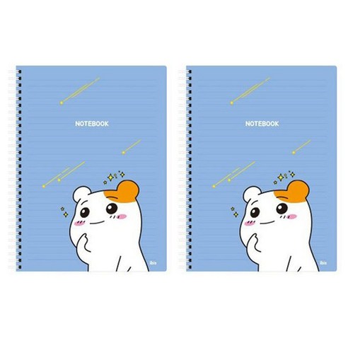아이비스 에비츄 좌철스프링노트, 별똥별, 2개