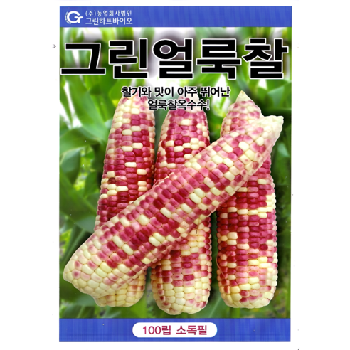 그린하트바이오 그린얼룩찰옥수수 씨앗 얼룩찰옥수수 종자 텃밭 옥수수재배 100립 그린하트, 1개