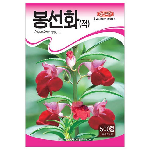 세인화분 빨간 봉선화 500립 - 씨 씨앗 꽃씨 봉숭아, 1개