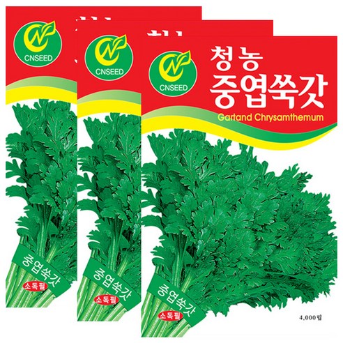 세인화분 중엽쑥갓 4000립 - 쑥갓씨 쑥갓씨앗, 3개