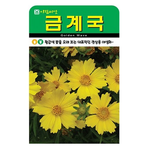아람종묘 금계국 꽃 씨앗 500p, 1개