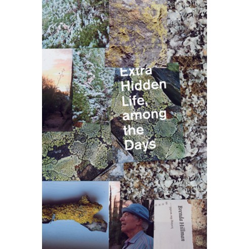 (영문도서)Extra Hidden Life Among the Days Paperback, Wesleyan University Press, English, 9780819578945