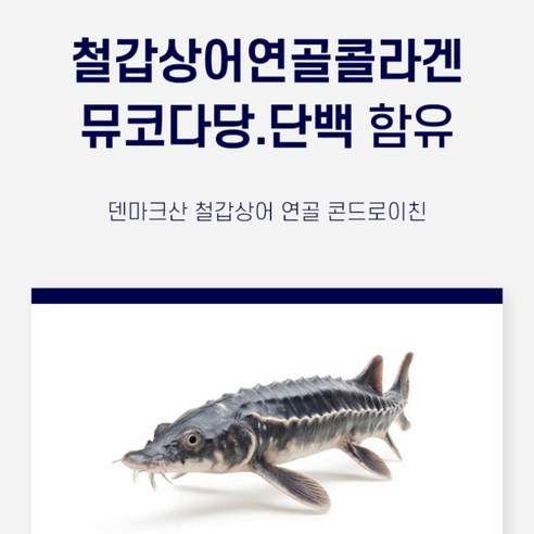 철갑상어 콘드로이친 1200 6형 식약청 인증 HACCP c6s 연골 뮤... 실사용 후기 | 효과 있을까? - 상품 이미지 4