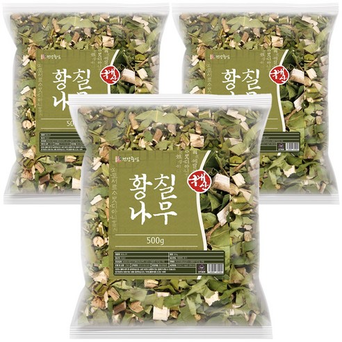 건강중심 국산 말린 황칠나무 잎 가지 500g, 3개 맛있게 먹은 솔직 후기 - 대표 이미지