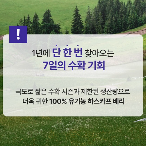 생명생활건강 유기농 동결 건조 하스카프 베리 분말 30g, 2개 맛있게 먹은 솔직 후기 - 상품 이미지 4