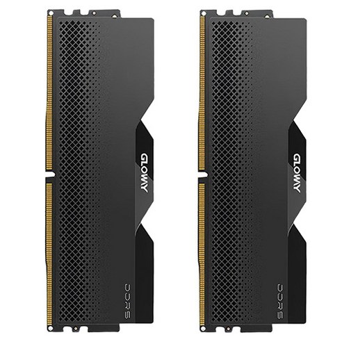 글로웨이 DDR5 데스크탑 히트싱크 램 블랙 16GB GW6800N16G-BS 2개입, 1개