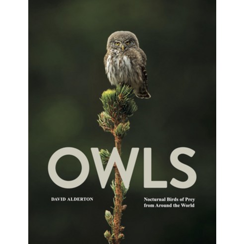 (영문도서)Owls: Nocturnal Birds of Prey from Around the World Hardcover, Amber Books, English, 9781838866600