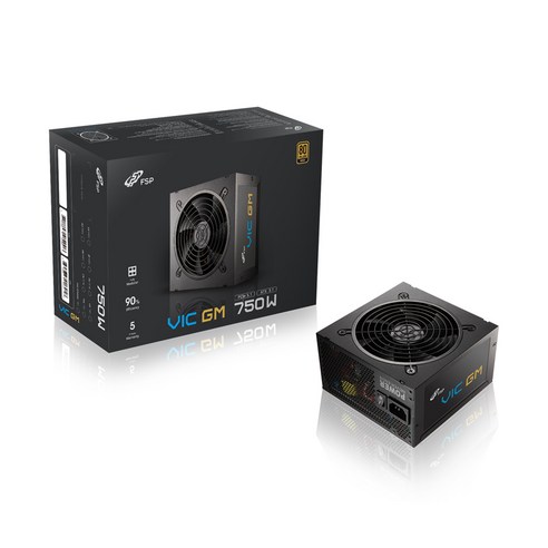 FSP VIC GM 80PLUS 골드 풀모듈러 ATX3.1 파워서플라이 PC 컴퓨터 파워, 750W