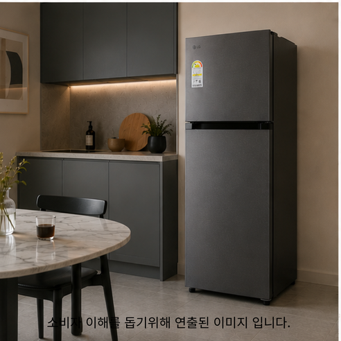 LG전자 B245DS22 일반냉장고 243L 2도어 물류설치 폐가전수거 설치비무료 추가비없음