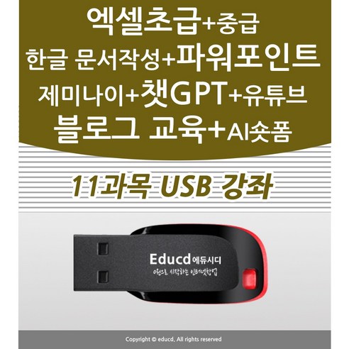 11종 컴퓨터 기초 배우기 교육 + 엑셀 활용 강좌+ 파워포인트+ 한글 문서작성+챗gpt+제미나이+유튜브 유튜버+AI 숏폼 동영상 +네이버 블로그 책 교재 서적 좋은 usb