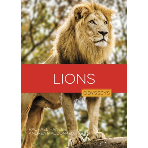 (영문도서)Lions Library Binding, Creative Education, English, 9798895811474