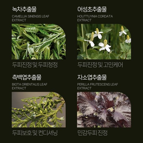 제이에이치피 녹초엽 비듬제거 두피토닉 솔직 후기 | 실사용자 리뷰 분석 - 상품 이미지 4