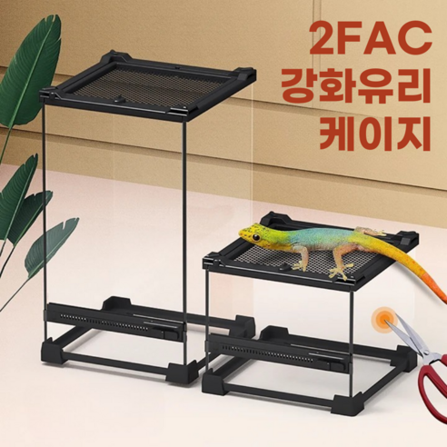 2FAC 케이지, 당신의 크레스티드 게코를 위한 완벽한 안식처, 압도적인 가성비!