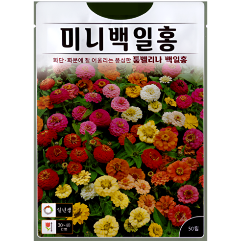 KS종묘 미니 백일홍 씨앗 50립 혼합색 ks, 1개