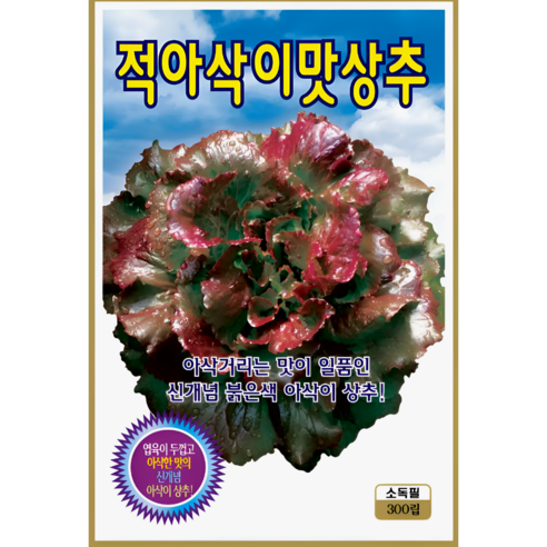 KS종묘 적아삭이맛상추 씨앗 300립 붉은아삭이 상추 종자 ks, 1개