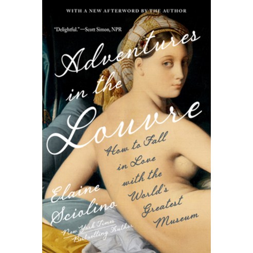 (영문도서)Adventures in the Louvre: How to Fall in Love with the World's Greatest Museum Paperback, W. W. Norton & Company, English, 9781324123439
