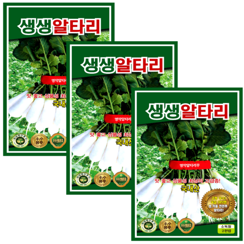 생생 알타리씨앗 (2000립x3) 국내산 아삭 달콤 총각무 김장 채소씨앗, 3개