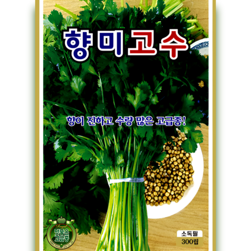 향미고수 씨앗 300립 향 진하고 수량 많은 고급종 허브 키우기 ks, 1개