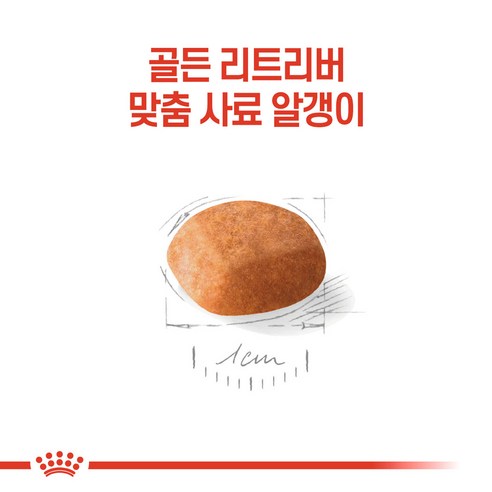 로얄캐닌 견종별 강아지 건식 사료 골든리트리버 퍼피 12kg 관절건강 강아지사료 이미지 2