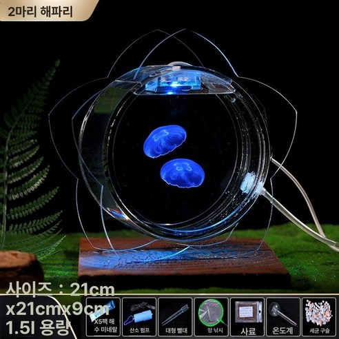 집 안에서 만나는 푸른 바다의 신비로움 애완해파리